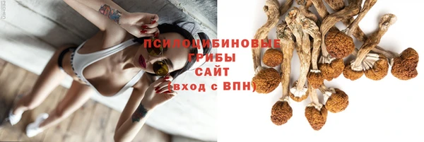 стафф Армянск