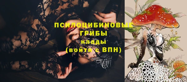 стафф Армянск