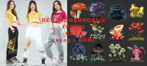 а пвп мука Арсеньев