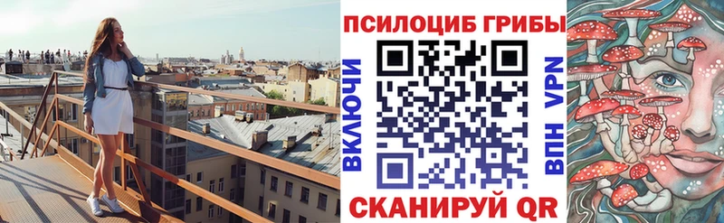 Псилоцибиновые грибы GOLDEN TEACHER Мензелинск