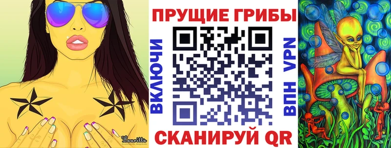 Галлюциногенные грибы Psilocybe  Мензелинск 